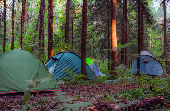 Camping In The Forest