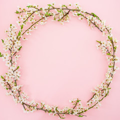 Frame of spring flowers isolated on pink background. Flat lay, top view. Spring time background.