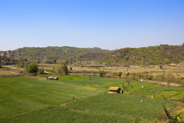 morni hills agriculture