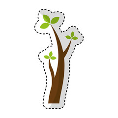 tree plant branches icon vector illustration design