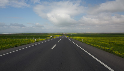 Highway in the spring