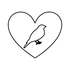 heart romantic with bird vector illustration design