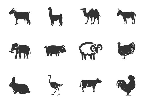 Zoo icons set