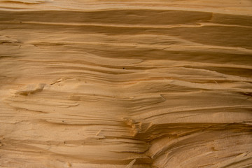 wood texture