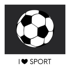A soccer ball painted in a flat style. Vector illustration. Sport. Football.