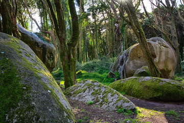 Sintra Mountain Siamese Rocks