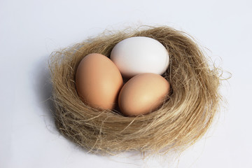 Three eggs in the nest