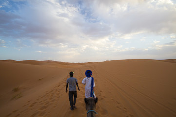 Fototapeta na wymiar Walk in desert