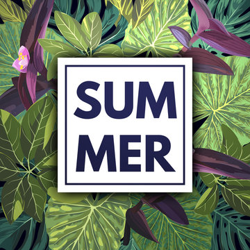 Summer green tropical flyer design with palm tree leaves and purple flowers.