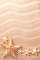 Fototapeta na wymiar five sea starfish in rippled sand. Star fish texture background.