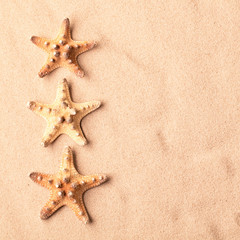 Fototapeta na wymiar three sea starfish on beach sand background.
