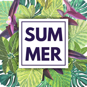 Summer tropical background with green palm leaves and exotic plants. Jungle vector floral template.