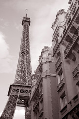Obraz premium Eiffel Tower and Building in Black and White Sepia Tone in Paris, France