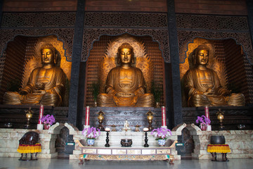 Praying at the temple with giant golden buddha statues