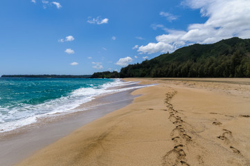 Sandy Beach in Hawaii