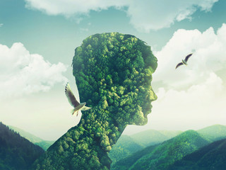 twórczy podwójna ekspozycja człowiek natura, niebo, zielony las - 142514891