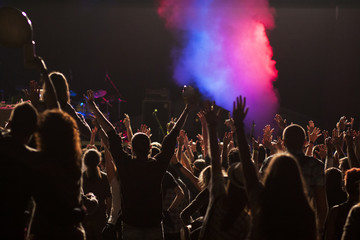 crowd at concert - summer music festival