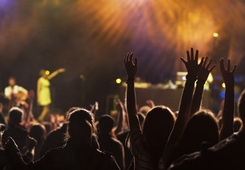 crowd at concert - summer music festival