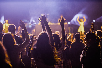 crowd at concert - summer music festival