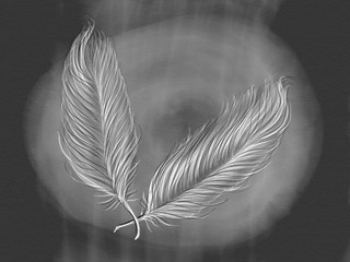 Drawn by pencil black set of white feathers on the black background, isolated illustration by hand, high quality