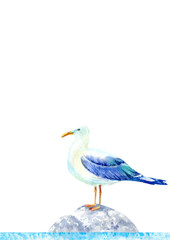 Seagull on a stone. Marine landscape. Watercolor hand drawn illustration. White background.