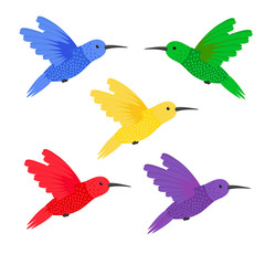 Set five small colorful bird hummingbird