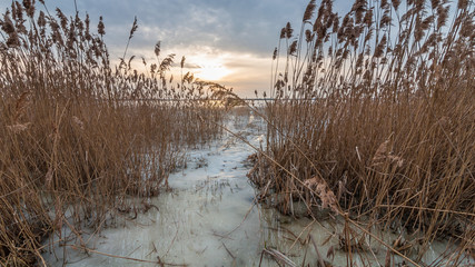 Coastal reeds on a frozen lake against a backdrop of dramatic sunset. Early spring thaw