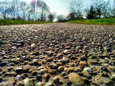 Kieselweg mit B&auml;umen im Hintergrund