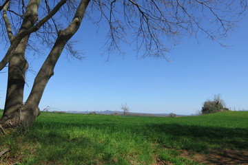 campagna