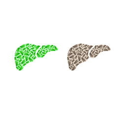 Liver silhouette with leaves