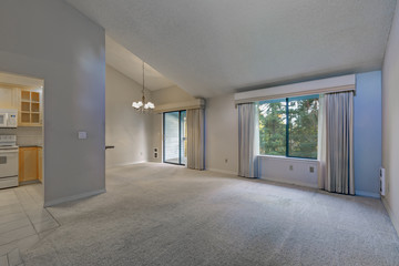 Empty dining space with vaulted ceiling and grey walls