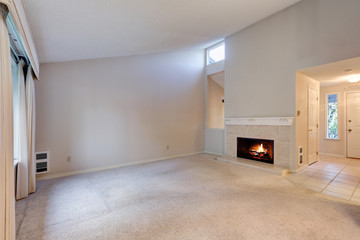 Empty living space with vaulted ceiling and grey walls