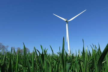 parco eolico, energia del vento