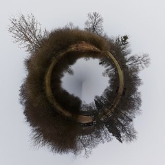 Planeta drzew abstrakcja