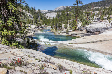 stream in the high sierra of california