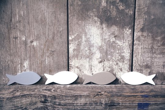 Gru&szlig;karte - Fische