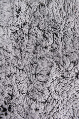 Domestic carpet texture
