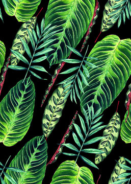 Seamless floral pattern with beautiful watercolor palm and calathea leaves. Colorful jungle foliage on black background. Textile design.