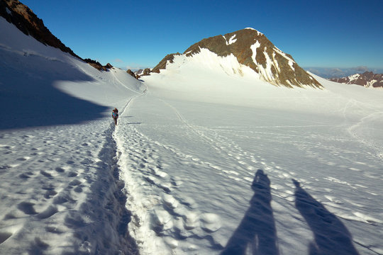 Way on Glacier, Wildspitze Group, Ötztal Alps