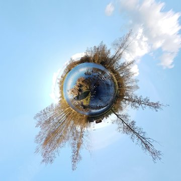 Drzewa. Woda. Abstrakcja