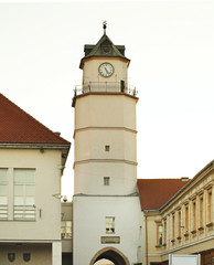 Fototapeta na wymiar City Tower (Lower Gate) in Trencin. Slovakia