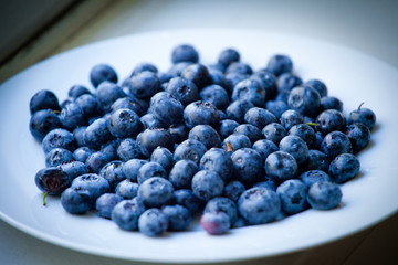 Blueberries plate