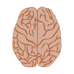 Medicine icon brain.