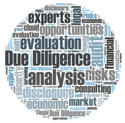 Due Diligence word cloud