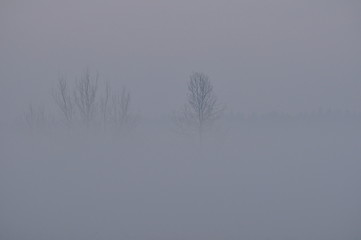 Mgła zimą