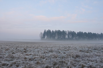 Mgła na wsi