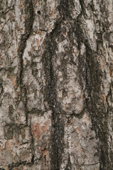texture
