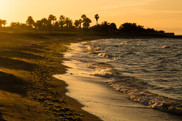 mare e macchia mediterranea in puglia