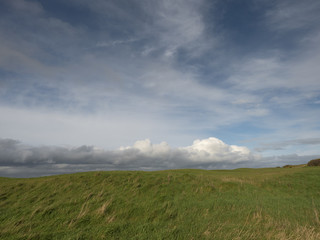 Green field under cloudy sky.