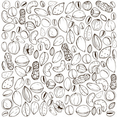 Background with nuts. Vector illustration.